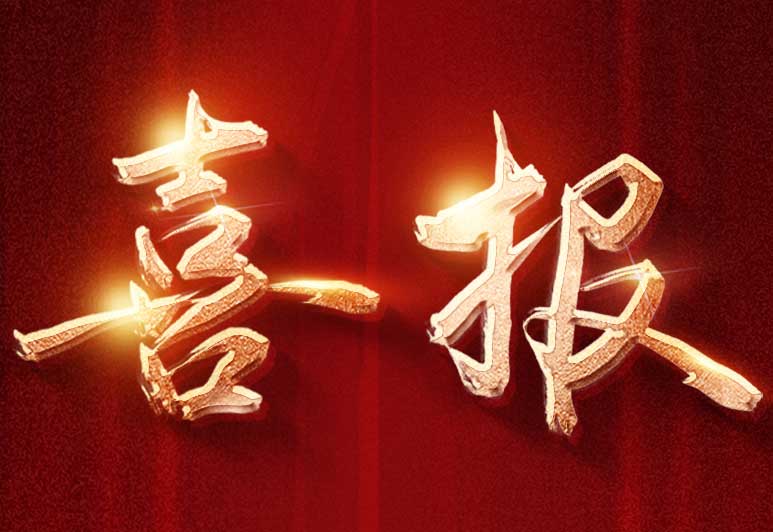 喜报！晟麦实业荣获第三届辽宁省专利奖三等奖